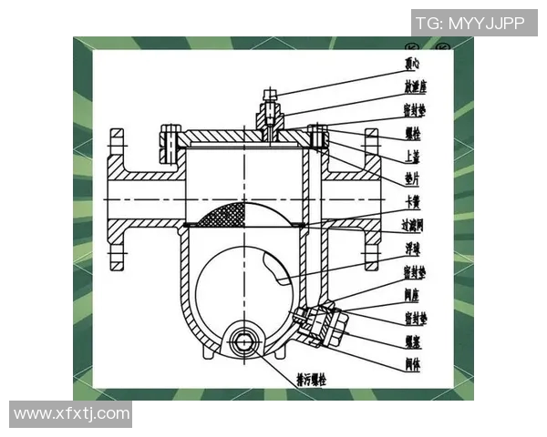 水管阀门的选购与安装技巧解析及其在家庭管道系统中的重要性